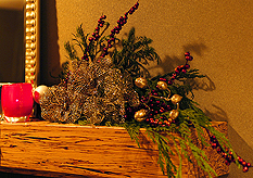 HOME FOR THE HOLIDAYS